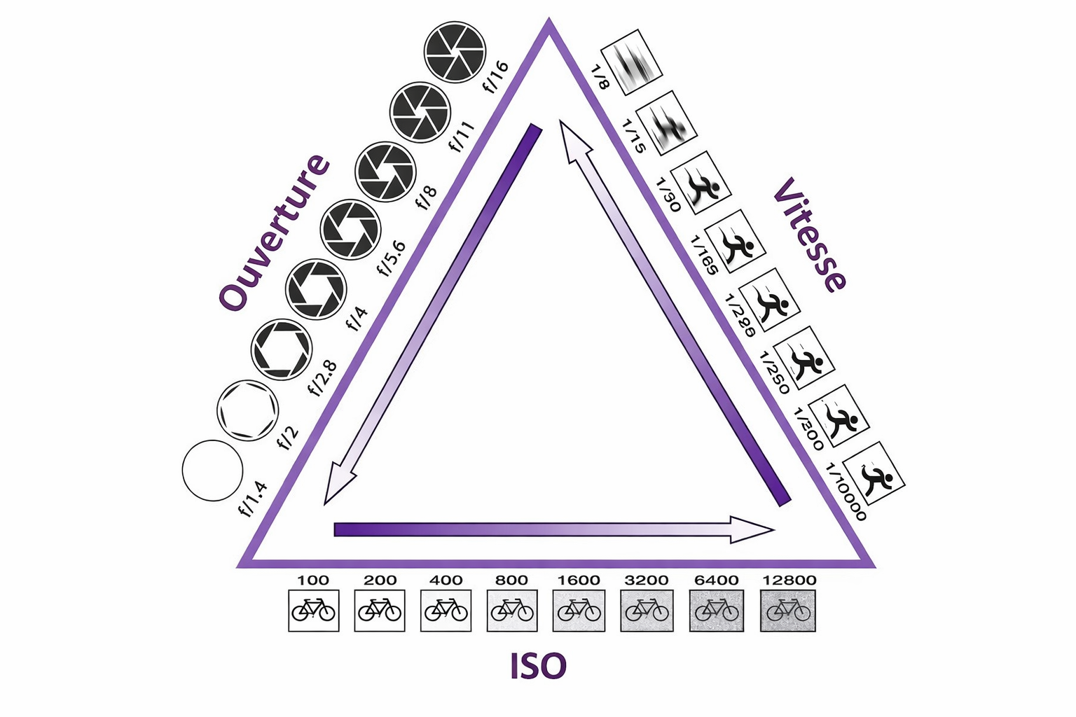 triangle_exposition.png